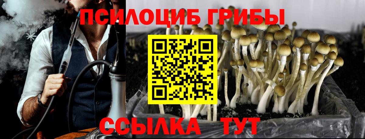Галлюциногенные грибы GOLDEN TEACHER  Вход с VPN  Рыбинск 